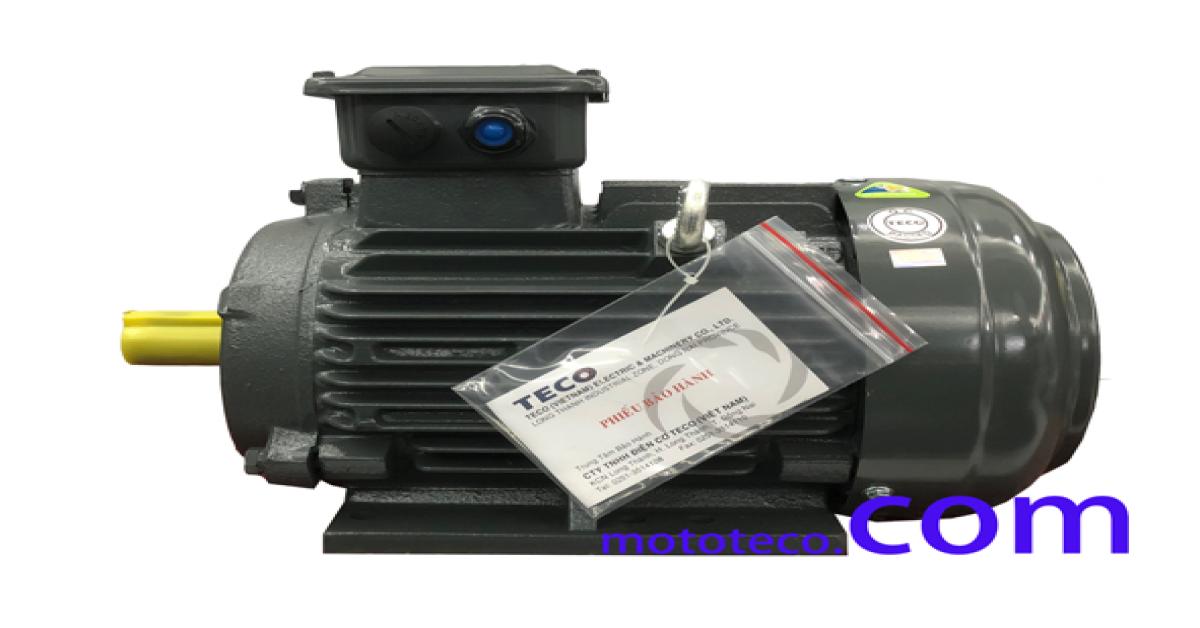 Cataloge motor teco aesv